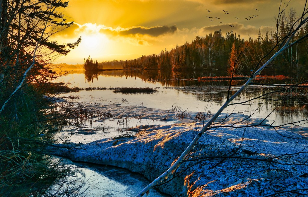 What is an&nbsp;ecosystem?